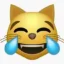 Lmeow icon