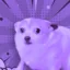 Moonshot Dog icon