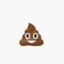 Shitcoin icon