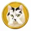 Kalcoin icon