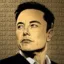 Elon Coin icon