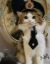 Neuralink cat icon
