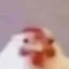 next cented icon