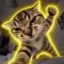 Punchcat icon