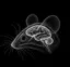 The Mouse Brain surgeon icon