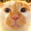 Panko icon