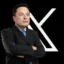 STONKX icon