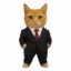 Equitty icon