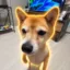 一護 icon