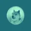 dodgeCoin icon