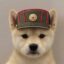 Songsang icon