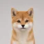 nekinu icon