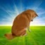 I've Had Inuf icon