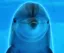 Dolphin Intelligence icon
