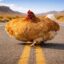 Wide The Chicken icon
