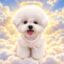 Justice for Coco icon