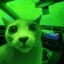 Cozy The Cat icon
