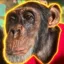 Save Bow icon