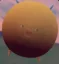 tiny bee icon