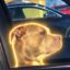 SideEye Dog icon