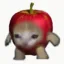 Apple Cat icon