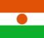 Niger icon