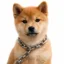 check solscan its 18 days old icon