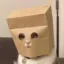 Anonymous Cat icon
