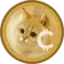 Catcoin icon