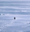 Nietzschean Penguin icon