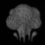 invisible gas icon