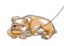 Crypto The Dog icon