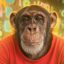 The Last Lone Chimp icon