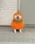 Pumpkinu icon