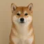 Actual Inu icon