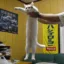 Long cat icon