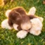 wrong charras on all lol icon