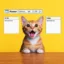 Meowcheck icon