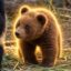 DouDou icon