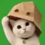 Know Your Cat icon