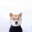 iNU icon