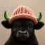 bullwifhat icon