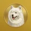 Cloudboi Coin icon