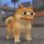Doge Pepe icon