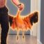 Justice for Peachy icon