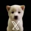 X Dog icon