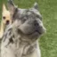 Juan Carlos icon