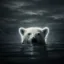 The Nuisance Bear icon