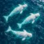 Save The Belugas icon