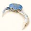 Crip The Crab icon